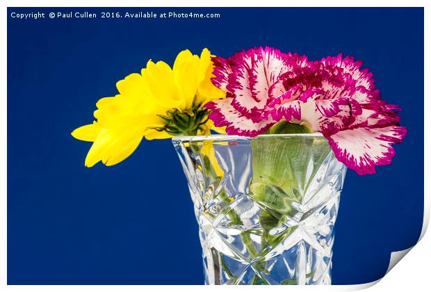 Yellow Chrysanthemum - Pink Carnation Print by Paul Cullen