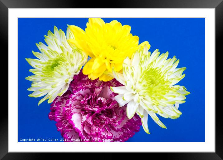 Carnation and Chrysanthemums Framed Mounted Print by Paul Cullen