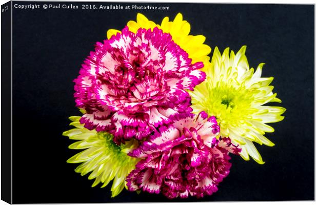 Chrysanthemums and Carnations. Canvas Print by Paul Cullen