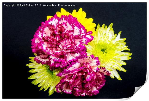 Chrysanthemums and Carnations. Print by Paul Cullen