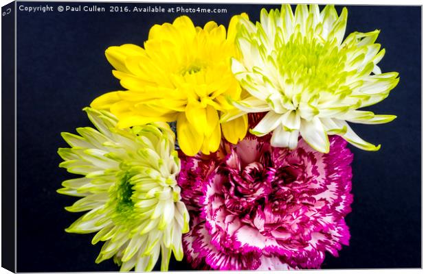 Carnation and Chrysanthemums - aerial view on blac Canvas Print by Paul Cullen