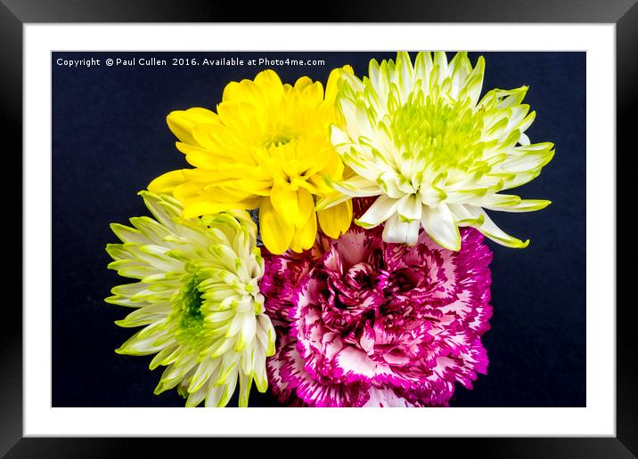 Carnation and Chrysanthemums - aerial view on blac Framed Mounted Print by Paul Cullen