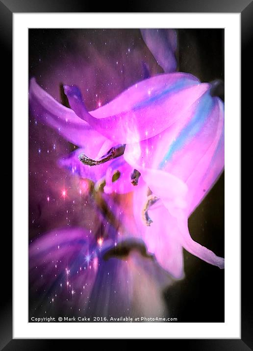 Bluebell  fairy dreams Framed Mounted Print by Mark Cake