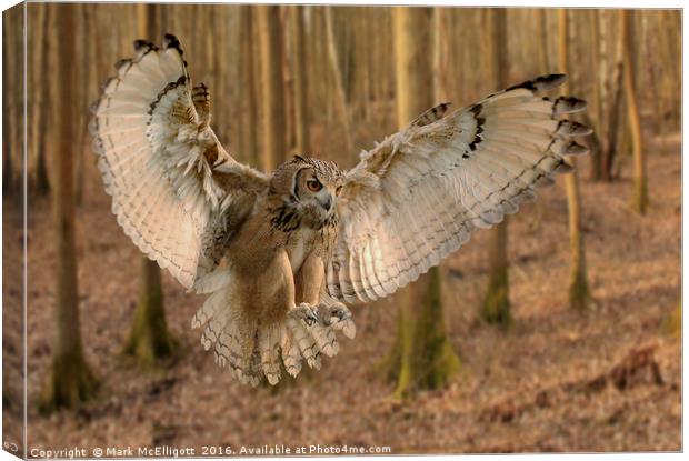 Eurasian Eagle Owl On The Hunt Canvas Print by Mark McElligott