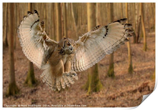 Eurasian Eagle Owl On The Hunt Print by Mark McElligott
