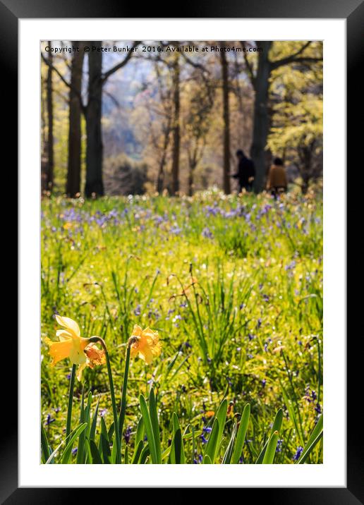 Spring Strollers. Framed Mounted Print by Peter Bunker