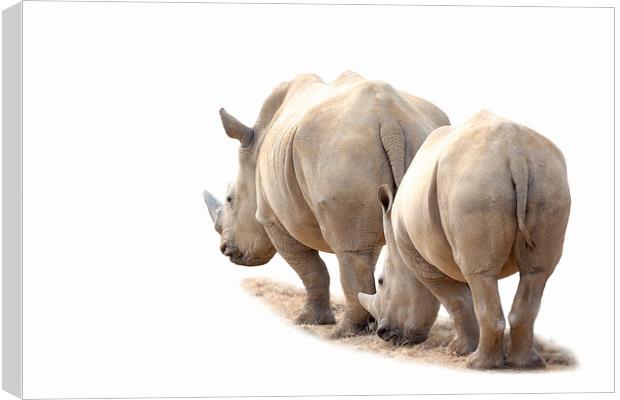 Rhino Mother and Child Canvas Print by Mark McElligott