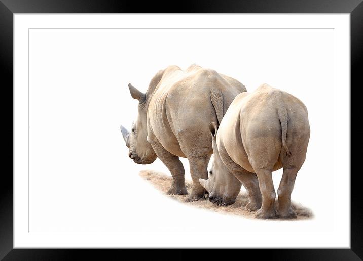 Rhino Mother and Child Framed Mounted Print by Mark McElligott