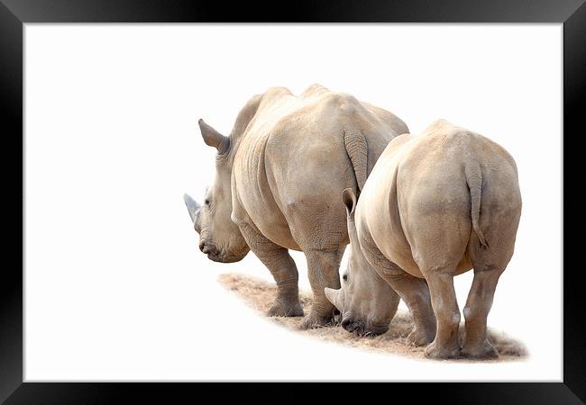 Rhino Mother and Child Framed Print by Mark McElligott