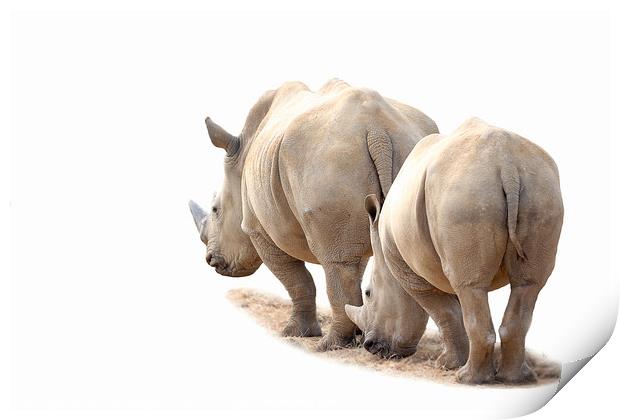Rhino Mother and Child Print by Mark McElligott