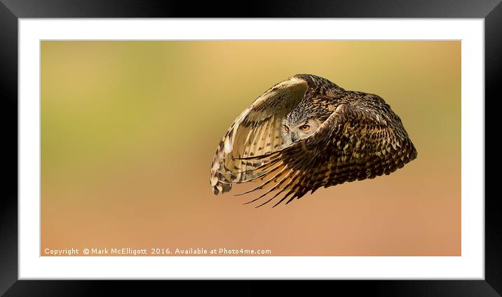 European Eagle Owl on the Hunt Framed Mounted Print by Mark McElligott