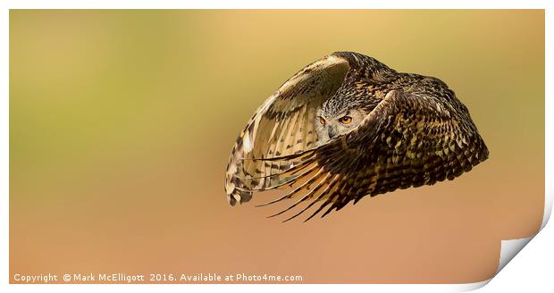 European Eagle Owl on the Hunt Print by Mark McElligott