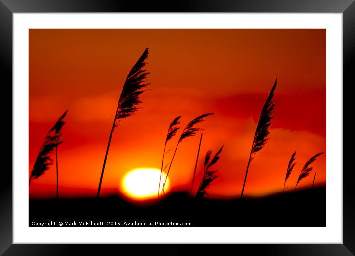 Sunset Rainham Marshes UK Framed Mounted Print by Mark McElligott