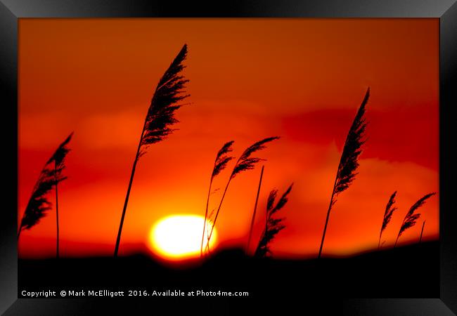 Sunset Rainham Marshes UK Framed Print by Mark McElligott