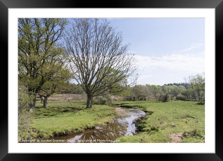 Mill Lawn Stream in the New Forest National Park Framed Mounted Print by Gordon Dimmer