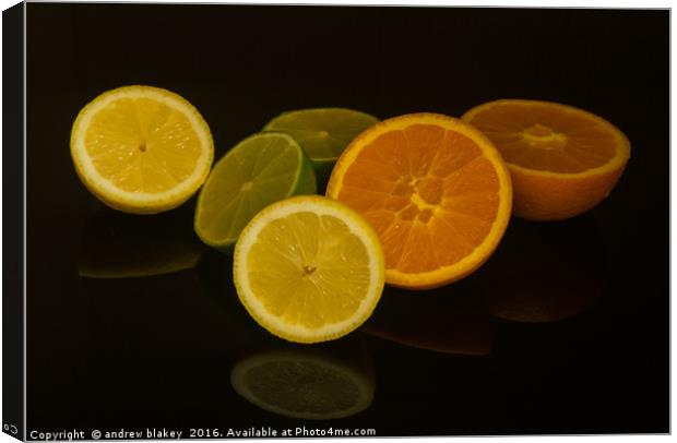 Citrus fruit Canvas Print by andrew blakey