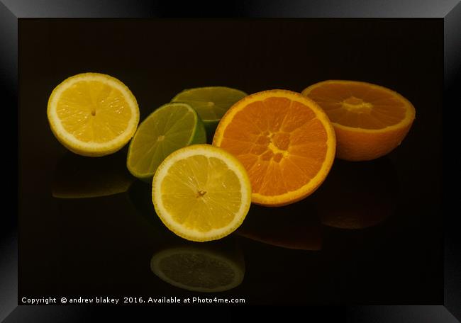 Citrus fruit Framed Print by andrew blakey