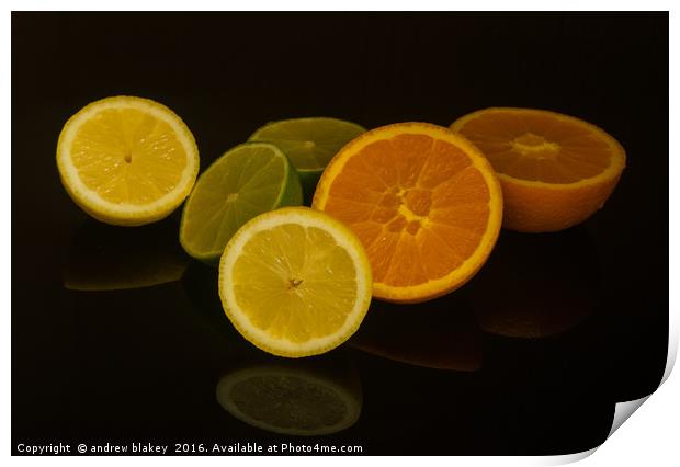 Citrus fruit Print by andrew blakey