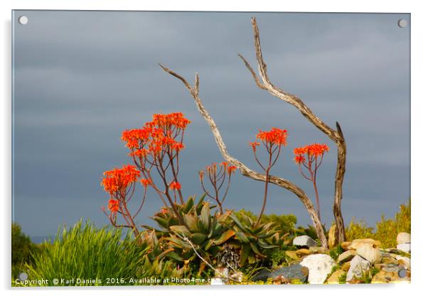 Life on Robben Island Acrylic by Karl Daniels