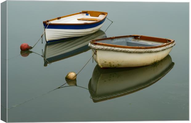 Reflections at Coombe Canvas Print by Michael Brookes