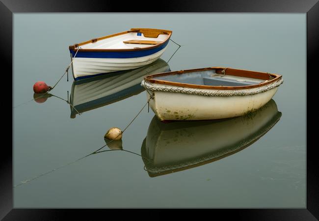 Reflections at Coombe Framed Print by Michael Brookes