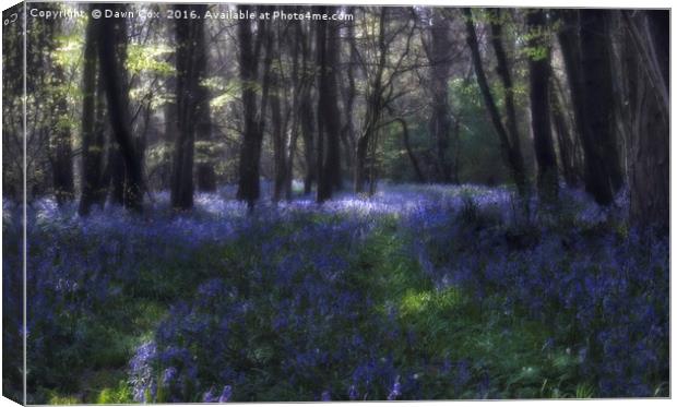 Bluebell woods Canvas Print by Dawn Cox