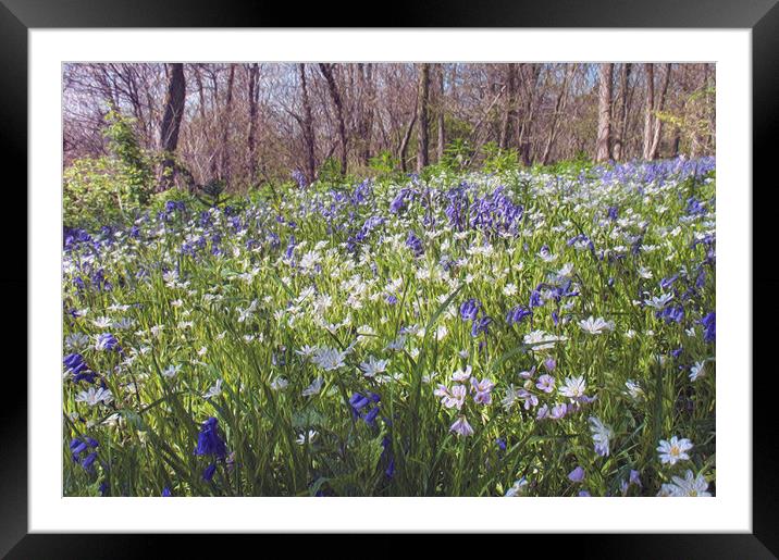 Spring Flowers Framed Mounted Print by Dawn Cox