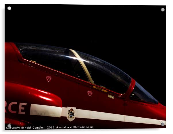 Red Arrow Hawk in the shadows Acrylic by Keith Campbell