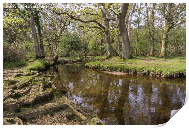 Mill lawn Brook near Puttles Bridge in the New For Print by Gordon Dimmer