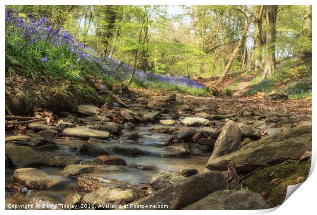 Bells by the Stream Print by David Tinsley
