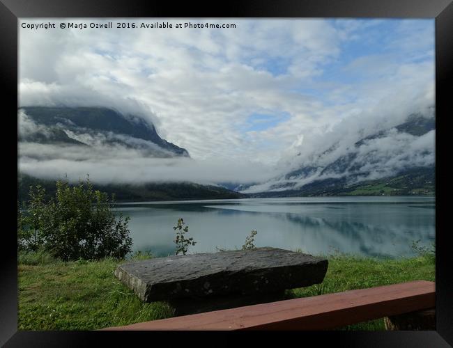    Best seat for breakfast                         Framed Print by Marja Ozwell