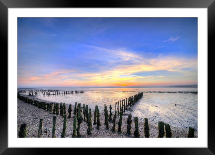 Early Morning Framed Mounted Print by Svetlana Sewell