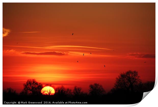 Birds Soaring at Sunset Print by Mark Greenwood