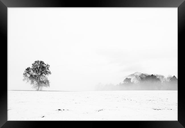 Winters Solitude Framed Print by Mark Greenwood