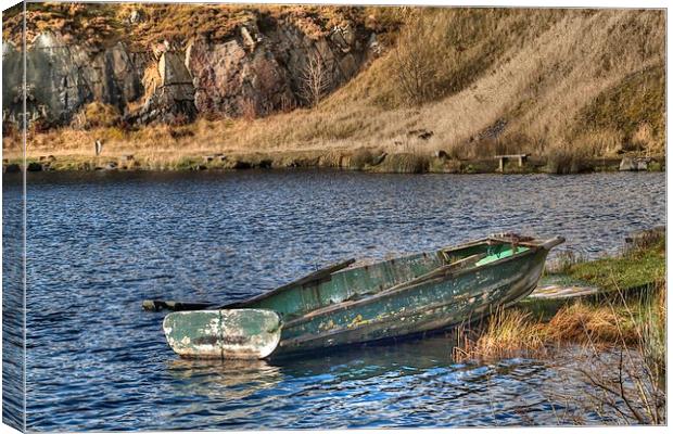 Abandoned boat. Canvas Print by Irene Burdell