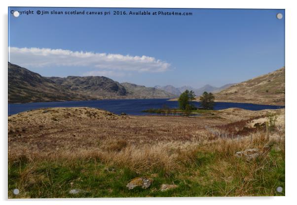 Loch Arklet Scotland Acrylic by jim scotland fine art