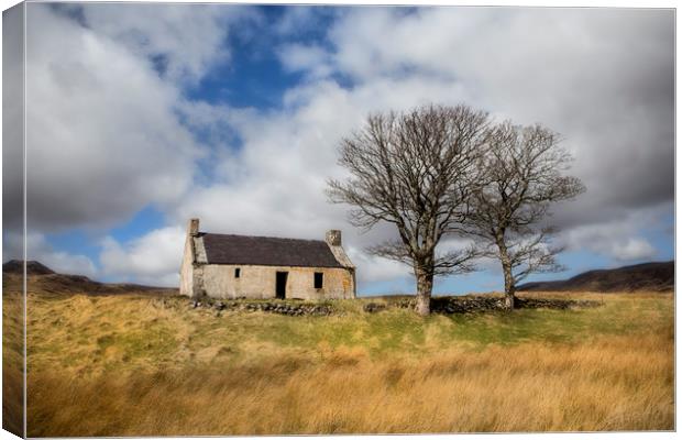 Highland Cottage. Canvas Print by David Hare