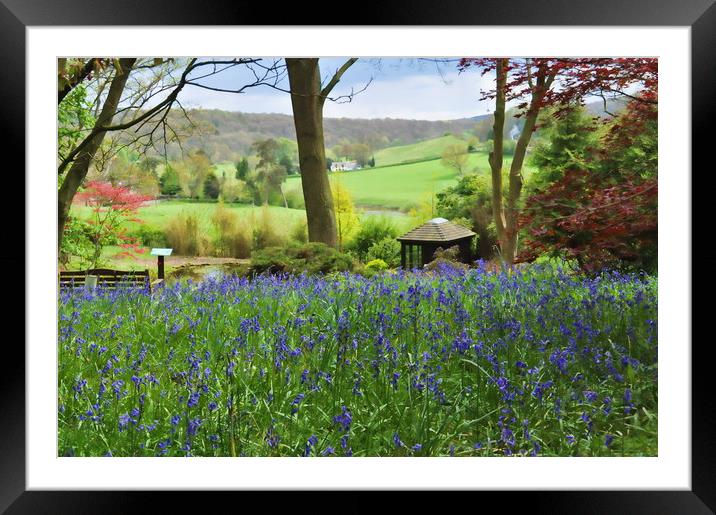 Bluebells at Arley Framed Mounted Print by Adrian Susman