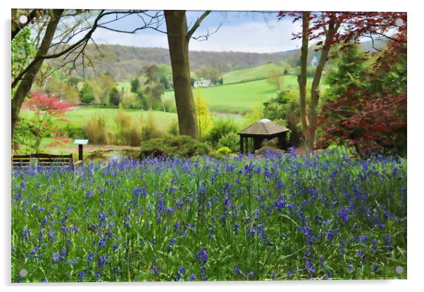 Bluebells at Arley Acrylic by Adrian Susman