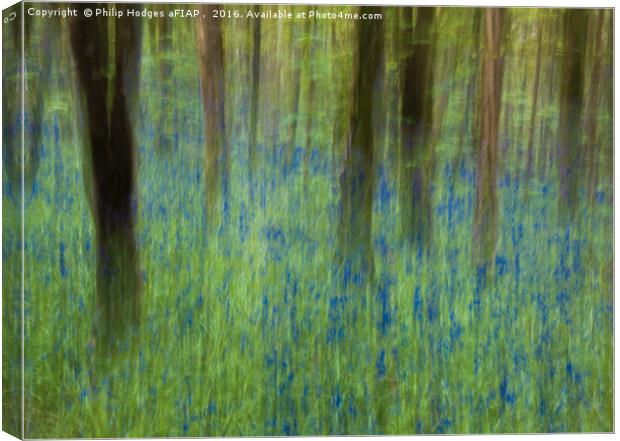 Bluebell Impressions 2 Canvas Print by Philip Hodges aFIAP ,