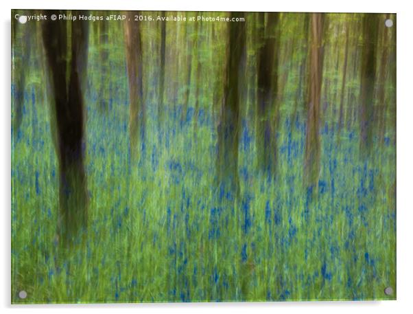 Bluebell Impressions 2 Acrylic by Philip Hodges aFIAP ,