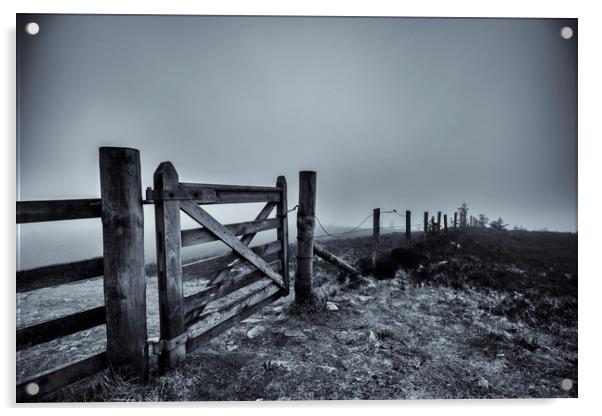 Gate in the Mist  Acrylic by Gavin Liddle