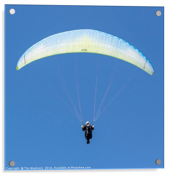 Paraglider enjoying the beautiful weather  Acrylic by Tim Woolcock
