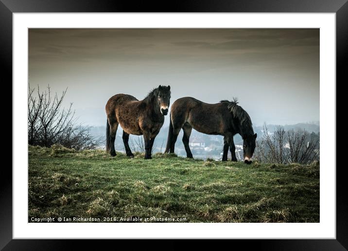 Ponies on the Hills Framed Mounted Print by Ian Richardson