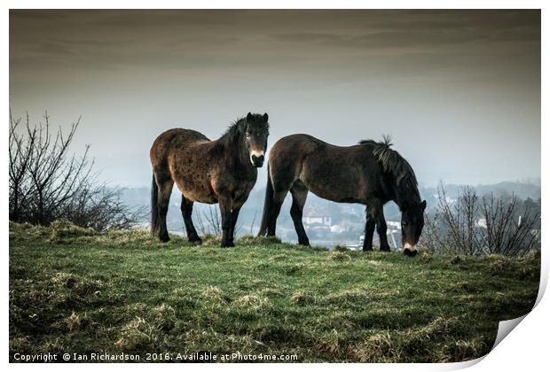 Ponies on the Hills Print by Ian Richardson