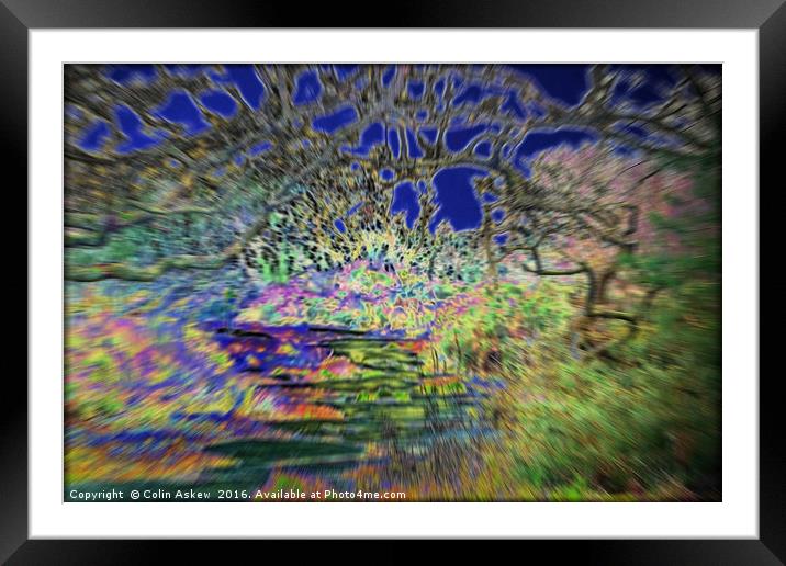 Psychedelic Walk Framed Mounted Print by Colin Askew