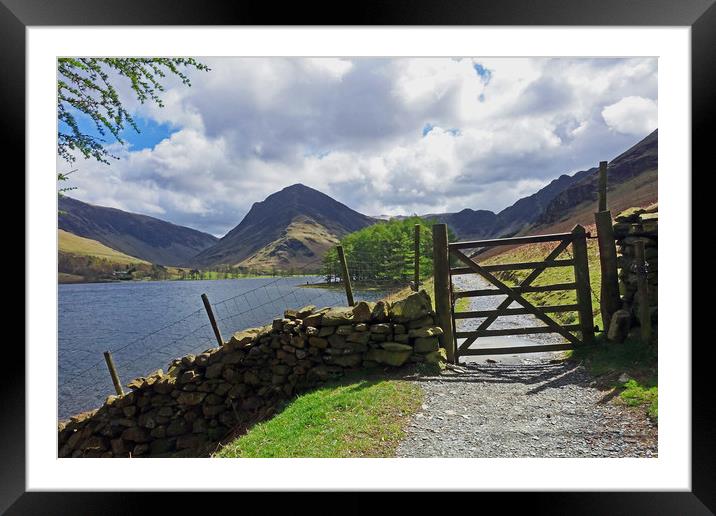             FLEETWITH PIKE ON BUTTERMERE           Framed Mounted Print by Anthony Kellaway