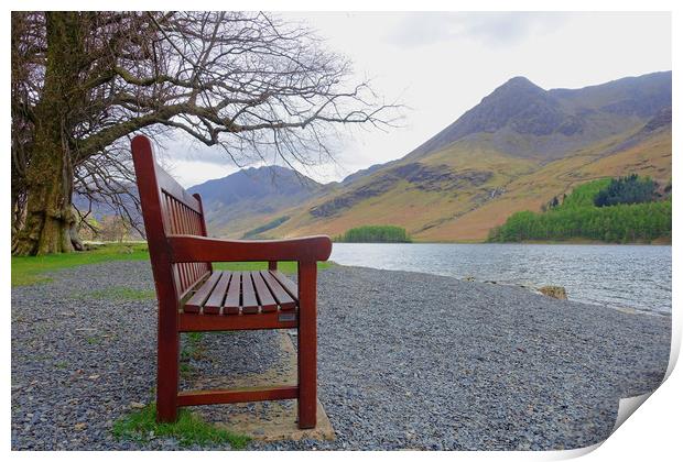                                BUTTERMERE BENCH Print by Anthony Kellaway