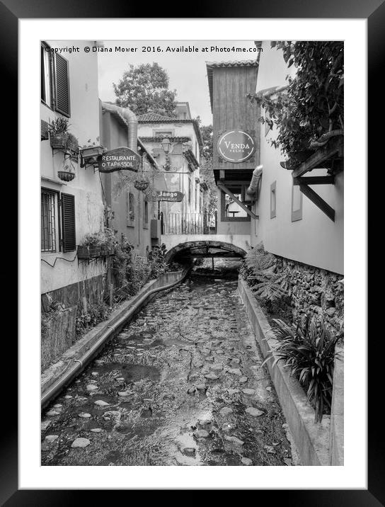 Old Town Funchal Framed Mounted Print by Diana Mower