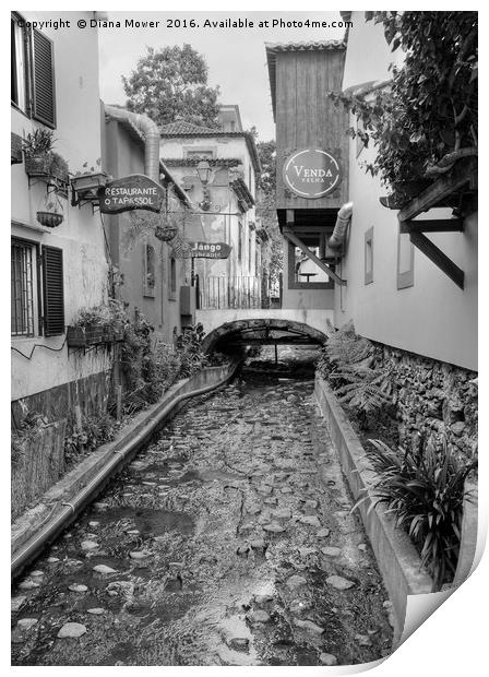 Old Town Funchal Print by Diana Mower